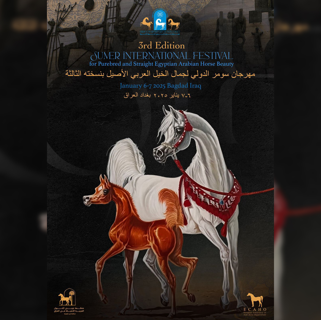 Promo Poster